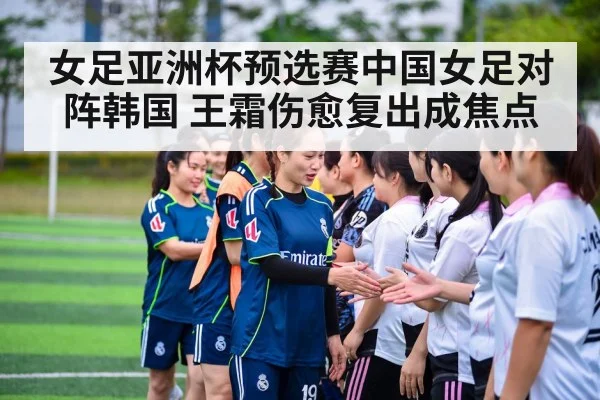 女足亚洲杯预选赛中国女足对阵韩国 王霜伤愈复出成焦点